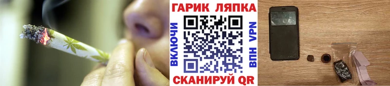 ГАШ Premium  мега tor  Инсар 