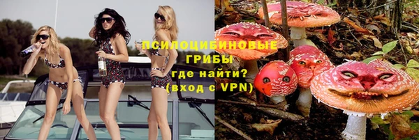 синтетический гашиш Дмитровск