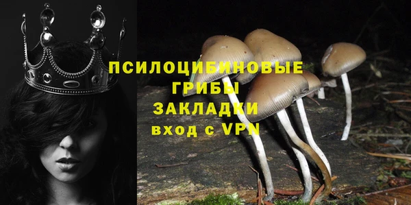 MDMA Premium VHQ Дмитриев